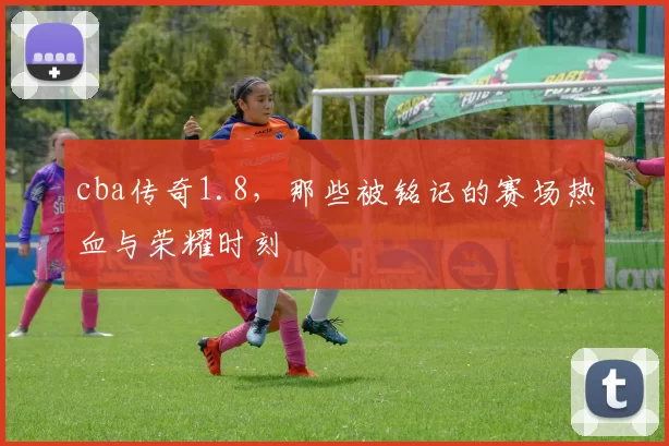 cba传奇1.8,那些被铭记的赛场热血与荣耀时刻