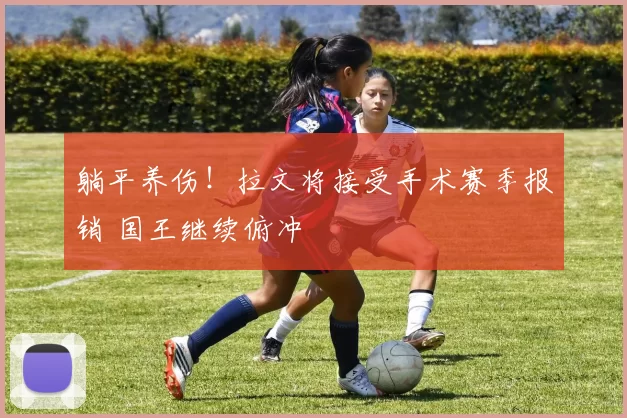 躺平养伤！拉文将接受手术赛季报销 国王继续俯冲