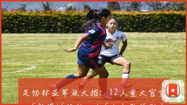 足协杯亚军放大招：12人重大官宣，6新援+6续约，扣6分也敢硬刚中超_河南_赛季_实力