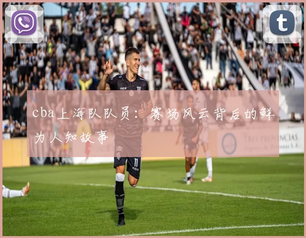 cba上海队队员：赛场风云背后的鲜为人知故事