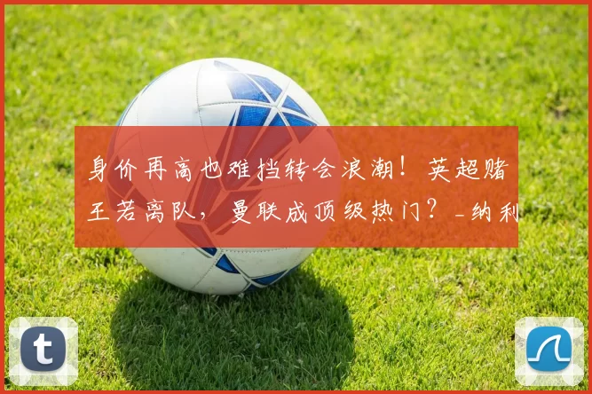 身价再高也难挡转会浪潮！英超赌王若离队，曼联成顶级热门？_纳利_纽卡斯尔_欧冠