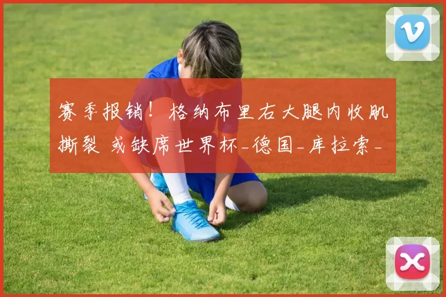 赛季报销！格纳布里右大腿内收肌撕裂 或缺席世界杯_德国_库拉索_豪门